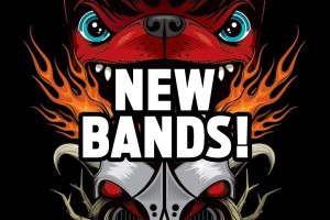 Download-new-bands-2013